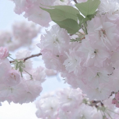 路桥FurryQQ群介绍